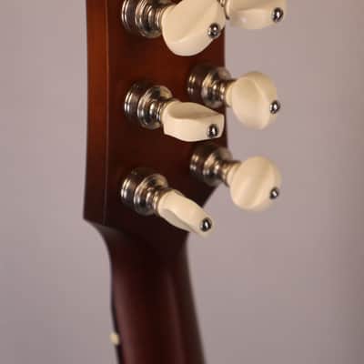 IRIS Guitar Co. DE-11: DAN ERLEWINE MODEL, Adirondack Spruce Top, Mahogany back and sides, ladder braced. image 14