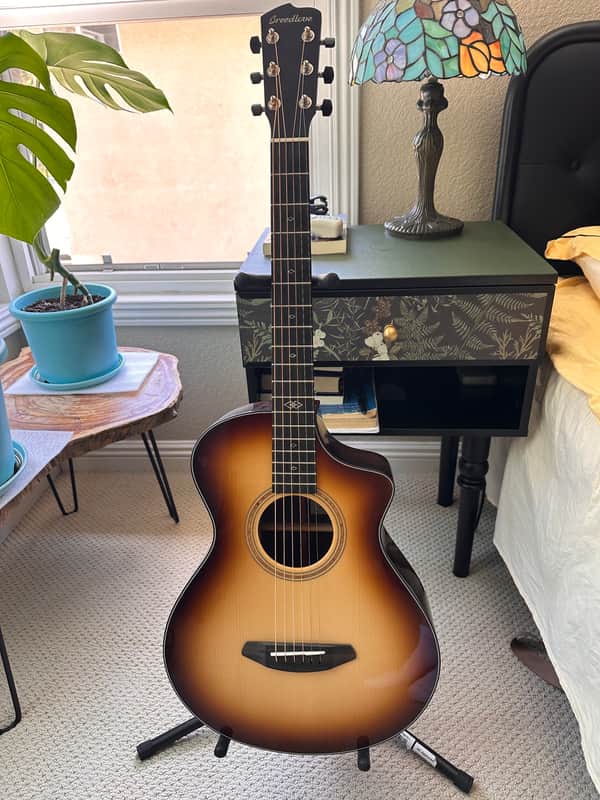 Breedlove Premier Concertina (Adirondack Spruce/Rosewood) (As New) image 1