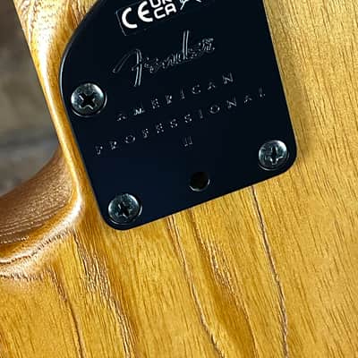 Fender LTD American Professional II Stratocaster HSS HT Roasted Maple - Aged Natural image 11