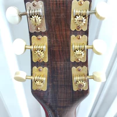 Premier Scroll Guitar image 5