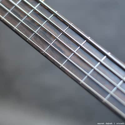 Stradi Symphony Stone 2016, STONE top, titanium frets, great sound and articulation image 7