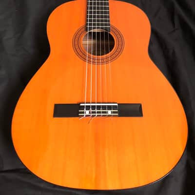 Vintage Goya (C. F. Martin) Classical Guitar with Case image 1
