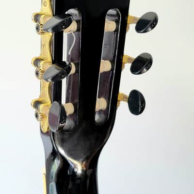 Rare Esteban Spanish Rosas Classical Guitar Character Flowers image 16