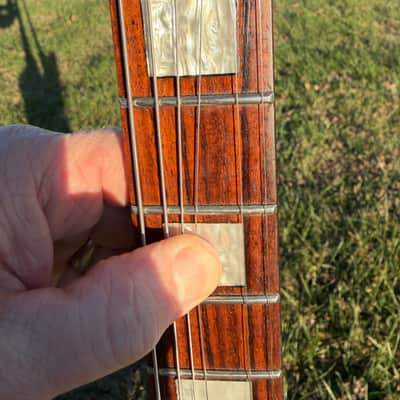 Peavey Rotor EXP Natural Wood - Explorer Body shape image 7