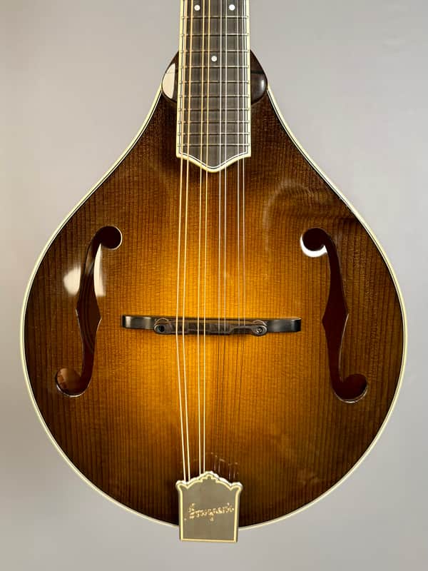 Bourgeois M5A Mandolin - Sunburst image 1
