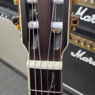 Ibanez TOD10N-TKF image 5