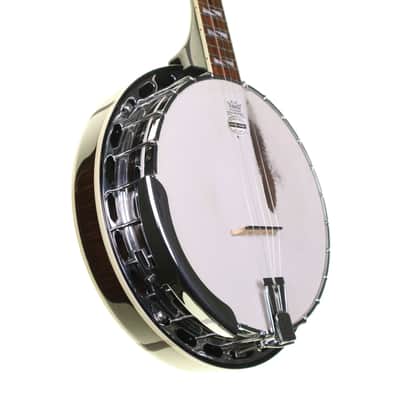 Washburn B160 Sonny Smith Signature 5-String Banjo image 5