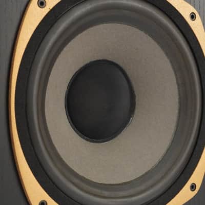 Tannoy SGM 10B Super Gold Monitors w/ The Mastering Lab M10 Crossovers #52373 image 17