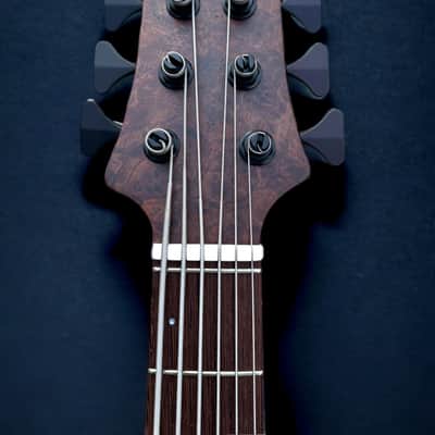 Elrick Basses Evolution Gold 6 - Burled Walnut 2024 - Satin image 6