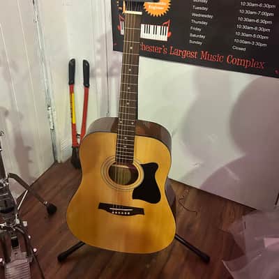 Ibanez IJV100S-NT Acoustic Guitar image 1