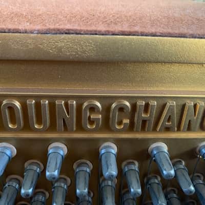 Young Chang Upright image 8