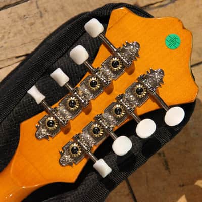 Rover RM-75 Deluxe Student F-Model Mandolin Flamed Maple image 8