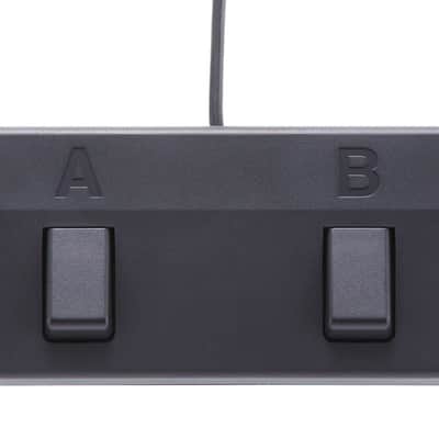 Boss Acoustic Singer Pro 120-watt Bi-amp Acoustic Combo image 5