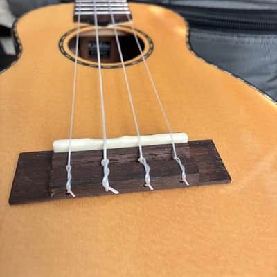 Cordoba 22S Soprano Ukulele 2010s - Indian Rosewood image 2