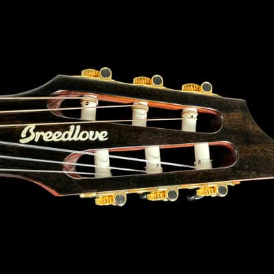 2022 Breedlove Organic Pro Solo CN CE Nylon String Classical w Built-in Electronics ~ Edgeburst image 10