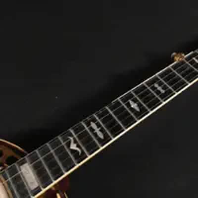 Gibson RB 250 Banjo GOLD PLATTED RB250 1970s - GOLD PLATTED image 13