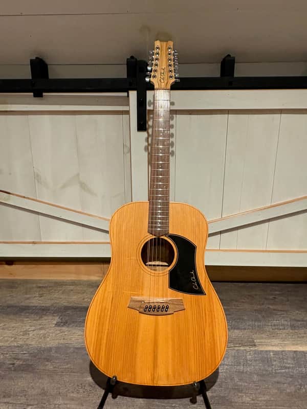 Cole Clark Fat Lady FL1A-12 12 String Acoustic Guitar image 1