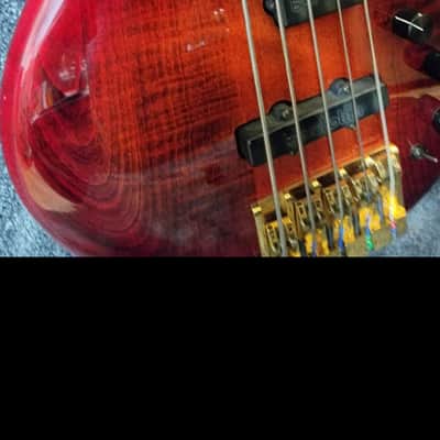 Pedulla Pentabuzz Fretless 2005 image 9