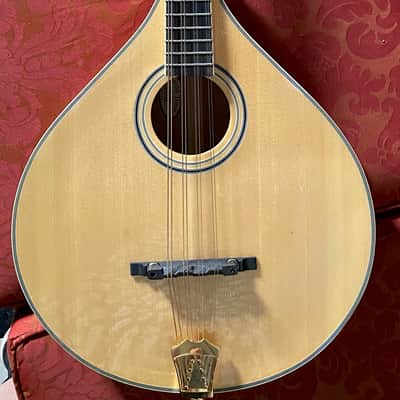 Gold Tone Octave Mandolin / OM-800+ / Hardcase Included / Pickup Installed / Excellent Cond image 2