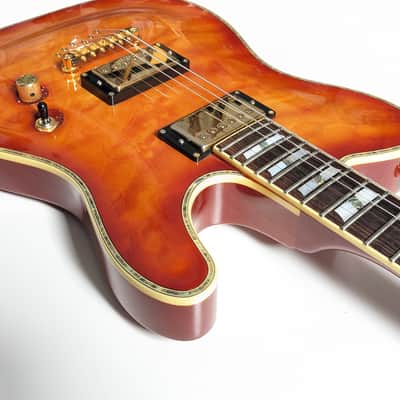 Schecter PT Custom image 10