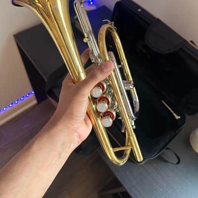 Bb Cornet – Gold/Silver Finish – Complete with Hardcase & Mouthpiece image 3