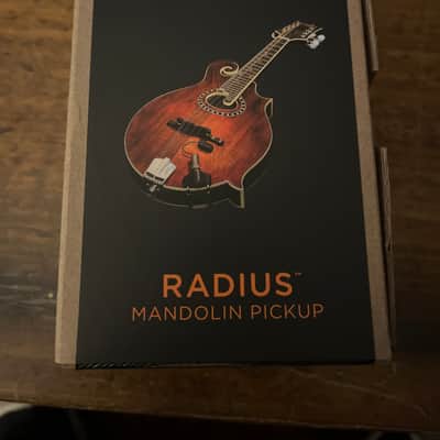 LR Baggs Radius-Mandolin pickup image 1