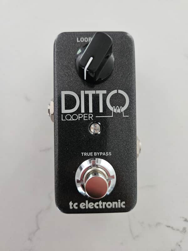 TC Electronic Ditto Looper loop pedal 2013 - Present - Black image 1