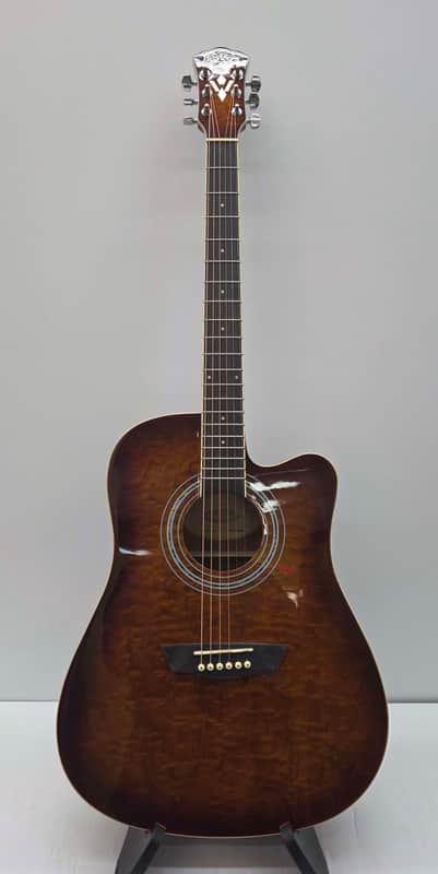 Washburn WSHAGPAKQTTB Acoustic Guitar 2024 - Tobacco Burst image 1