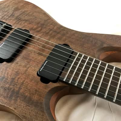 RAN Guitars Crusher FT image 4