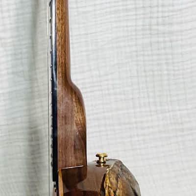 Turtle shell tenor banjo image 7