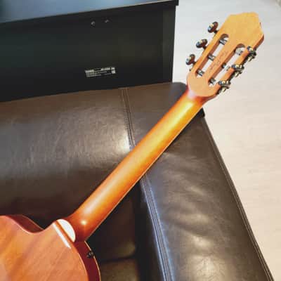 Ortega  Tourplayer 2024 image 3