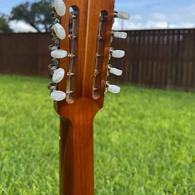 Gallardo Bajo Quinto - Mexican Rosewood and Cedar Bajo Quinto 2026 - Mexican Rosewood image 6