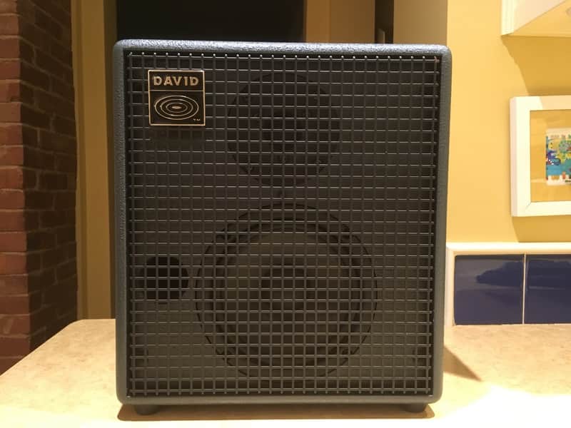 Schertler David acoustic amp with case - Free Shipping! image 1