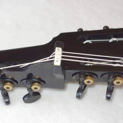 LUCIO NÚÑEZ Sophia 13-String Classical Harp Guitar, Spruce/Ziricote, w/Custom Case, Extremely Rare!! image 10