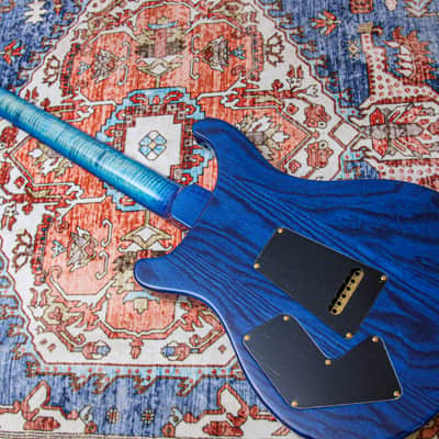 PRS USA Paul Reed Smith Modern Eagle V Wood Library "Faded Blue Burst + Ebony" (2025) image 19