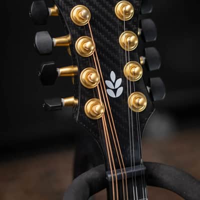 KLOS Full Carbon F-Style DAE EQ Acoustic/Electric Mandolin - Gold Hardware with Fiberglass Hardshell Case image 6