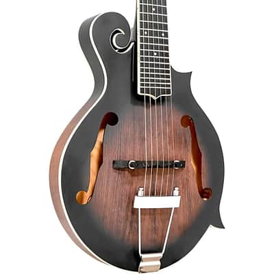 Gold Tone F-6 F-style 6-String Acoustic-Electric Mando-Guitar - Vintage Sunburst image 2