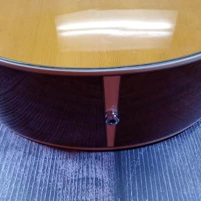 Charvel 625C Acoustic Electric Guitar (Queens, NY) image 12