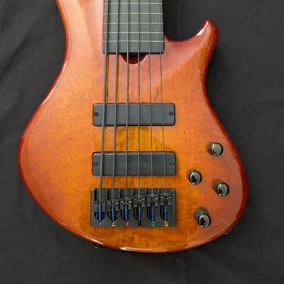 Roscoe SKB 6-string fretless bass image 2