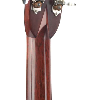 Santa Cruz Tony Rice Sitka Indian Rosewood 2015 image 6