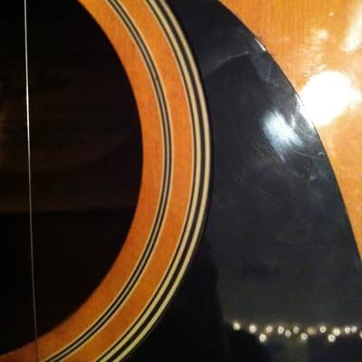 Fender Gemini II 1960's image 7