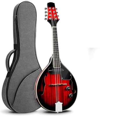 Samickサミック マンドリン sm20ts Vintage Early 90's Samick SM20E Electric/Acoustic Mandolin Plays
