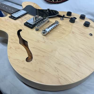 Epiphone DOT Semi-Hollow Body Electric Guitar image 19