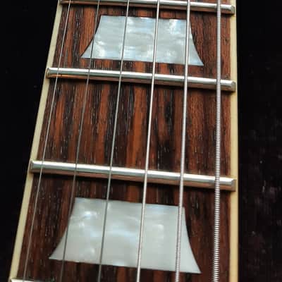 Epiphone Les Paul Standard Plus Top with Bigsby Completely Upgraded image 22