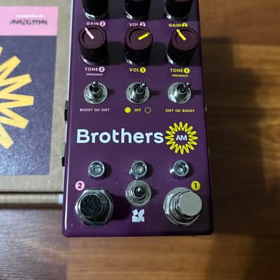 Chase Bliss Audio Brothers AM 2025 - Present - Various image 2