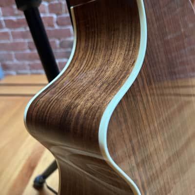 2010 Breedlove American Series C25/CRe H Red Cedar/Rosewood w/ LR Baggs + OHSC image 2