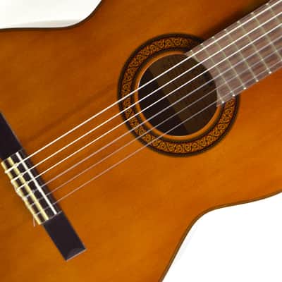 Yamaha G-231 Cedar Top Nylon String Classical Acoustic Guitar + Case image 3