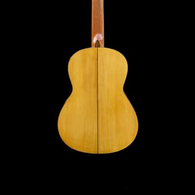 2019 Andrew Smith SP/CY Flamenco Blanca image 9