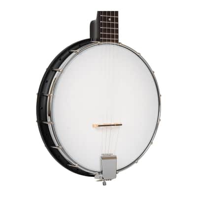 Gold Tone AC-1/L 5-String Beginner Banjo Full Size with Gig Bag (Left-Handed) image 3