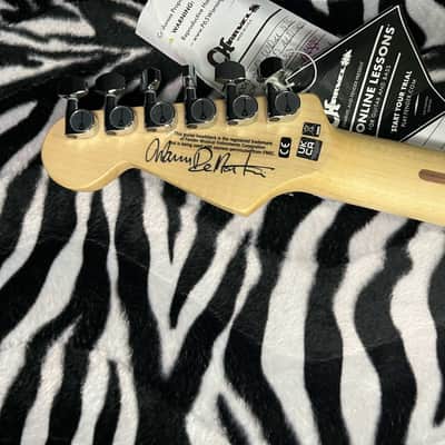 Charvel Warren DeMartini Signature Pro-Mod Blood and Skull Graphic 7.7lbs - Authorized Dealer - G00436 image 11
